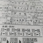 雑食系競馬日記