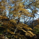 2025.11.4   荒船山（経塚山）