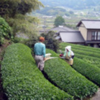 幕末・明治の肥前　こぼれ話