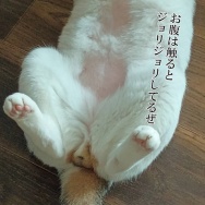 帰省は心身の回復。と、ネイビーのギラギラ枝豆つくりました。