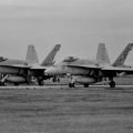 U.S.M.C  F/A-18A VMFA-531 ”GREY GHOSTS”
