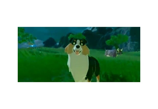 【朗報】『ゼルダBotW』“一人称視点”でプレイ可能にする凄いグリッチが発見されるｗｗｗｗｗｗｗ