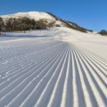 参加者の声③