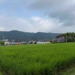 ハウジングプロモーション川田のブログ