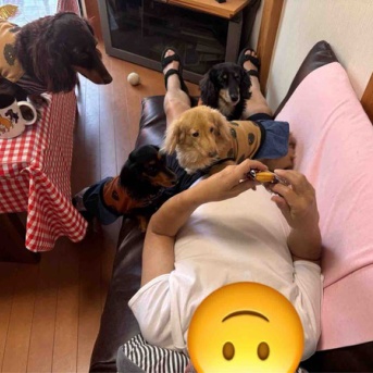 明日はお出かけするぞ。