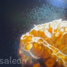 #アミガサラスト　＃ナストマ網スパゲティー