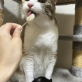 愛しのぽぽちゃん