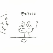 羊毛人形の作り方なのよ 準備編 新 トイプードル シャオロンのまんが日記 羊毛人形の作り方なのよ 準備編 新 トイプードル シャオロンのまんが日記