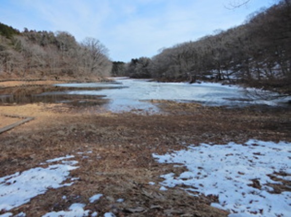 雪どけの塩原大沼公園（水と氷のせめぎあい編）
