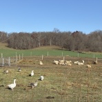 ショウザンビル　【大阪アメリカ村】
