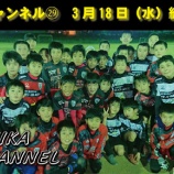 『シカチャンネル㉙』の画像