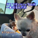 遠いはずだった銚子