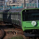 2025/10/30運転 山手線E235系103系イメージラッピング