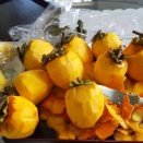 何も話題が無い