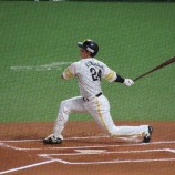 『「え、ネット裏」ですか？』の画像