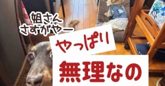 予想通り。