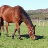 『変わらない生活』の画像