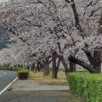 CB250EX レストア日記