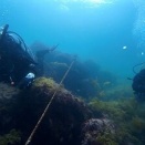 平日も毎日開催の新宿ダイビングスクール