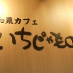 高知のんのんお散歩