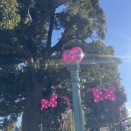 こんな日もあるさ(2026/02/23)