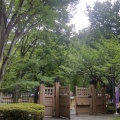 上野へ《横浜市栄区　坂本周子ピアノ教室》