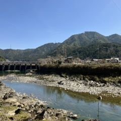 飛騨かなやまの桜　開花状況 2026