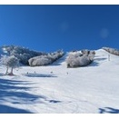 志賀高原初滑りスキーキャンプ2期。快晴の2日間。