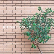 夏季休業のお知らせ（8月17日〜19日）