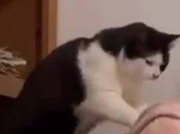 カレが私の肩を揉み始めた。何かお願い事でもあるのかな？ → 優しい彼はこうします…