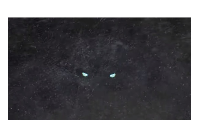 【悲報】『モンハンアイスボーン』動画に謎の追加モンスター写ってるけど誰？