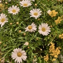 2026.3月のスケジュール♪