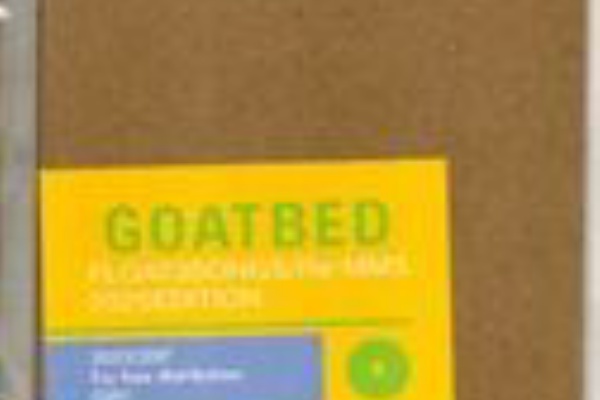 石井秀仁 GOATBED ゴートベッド 関連CD DVD 計20 点 まとめ売り Amazon.co.jp: GOATBED: ミュージック