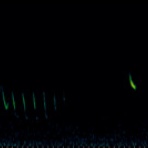 恋ふ森野郎の研究日誌