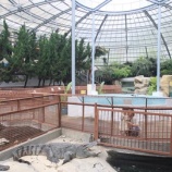 『【徒然写真館】No.169　バナナワニ園』の画像