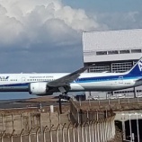 『【ソラムナード羽田緑地】飛行機が迫力満点！羽田空港の展望テラスと散策路を訪ねて』の画像