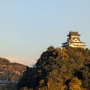 最近の出来事・・虫作業・OAKS忘年会