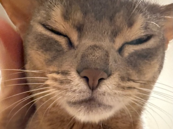 胸苦しくて目覚める朝