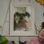 水戸ペットセレモニーのblog【ペット火葬・霊園・茨城・水戸市】