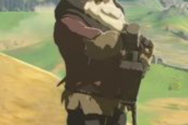 ゼルダの伝説ブレスオブザワイルド待合室 16年11月