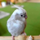 おめでとう👏