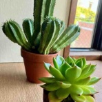 keikosensei1212のblog