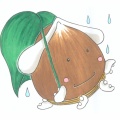ⓃⒺⓌ🐾「傘のサイズはさることながら、どれが手なのか脚なのか❓」