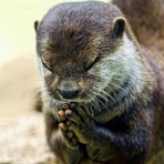 NIRVANAWAVE～波動で遊ぶブログ