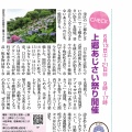 あじさい祭り