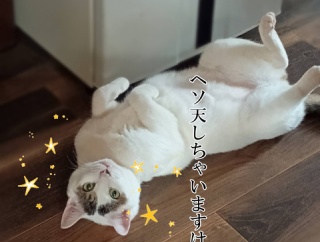 好感度あげてこ。と、歯車のハートつくりました。