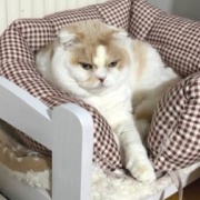 プレミストドーム（札幌ドーム）に行ってきました