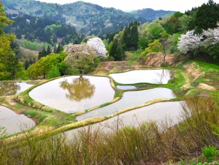 ふる里の夕景色