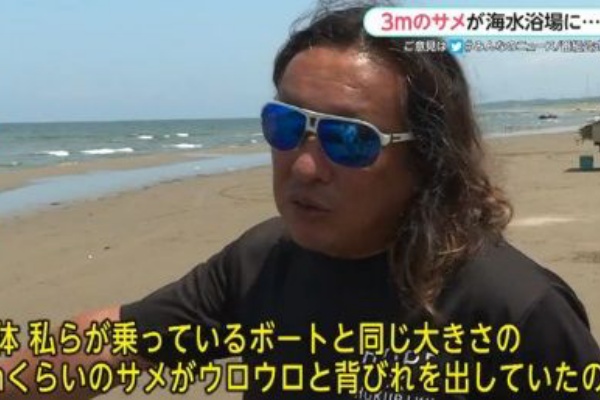 体長3mのサメ目撃情報 内灘海岸 石川 サメ シャチ好き集まれ情報局