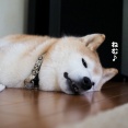いつも通り…
